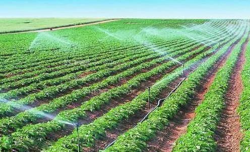 美女的屄网站免费观看农田高 效节水灌溉